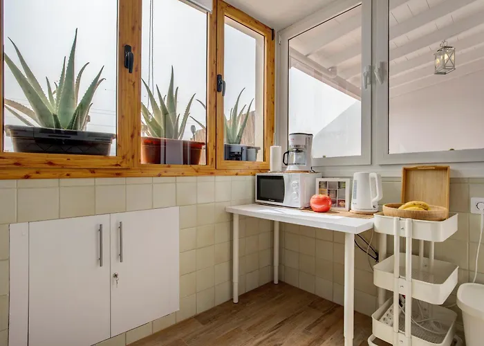 Casa Alisios كوستا كالما